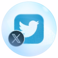 X Tweet Data Extractor logo