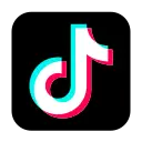 TikTok Profile Analyzer & Scraper (No Cookie) logo