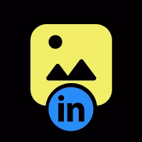 LinkedIn Post Data Collector logo