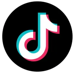 TikTok Followers Finder logo